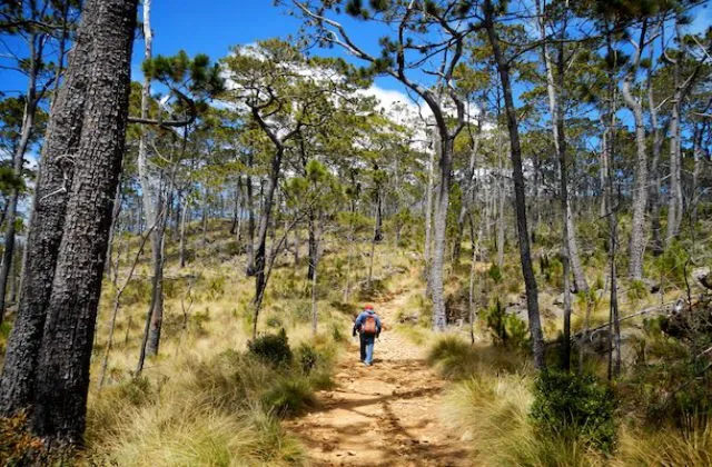 Rancho 2 Rios Jarabacoa Excursion Pico Duarte